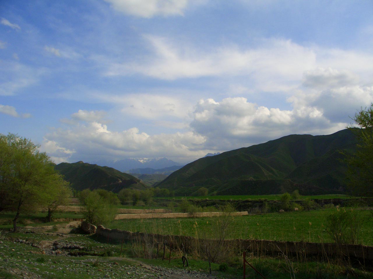 CIMG2632 ����.jpg