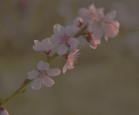 ԰���˷ǣ��һ�����