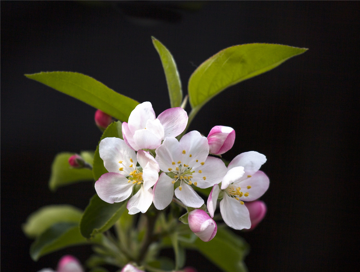 ƻ���� (3).jpg