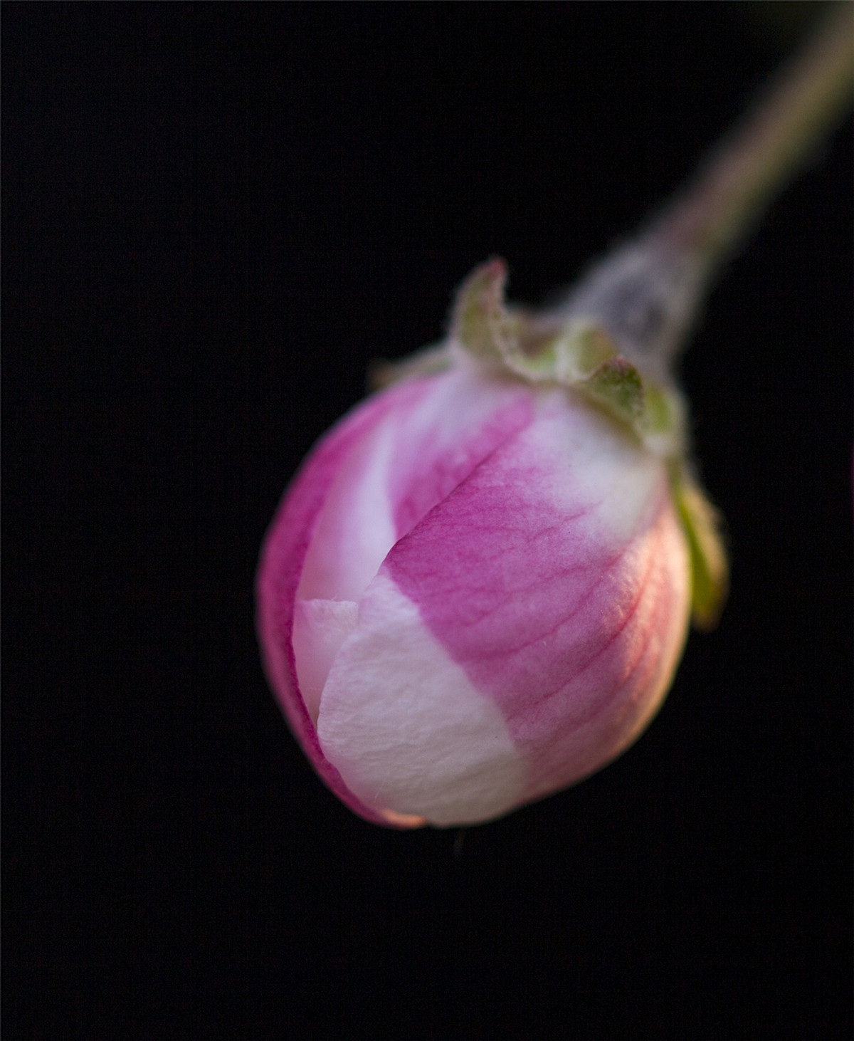 ƻ���� (4).jpg