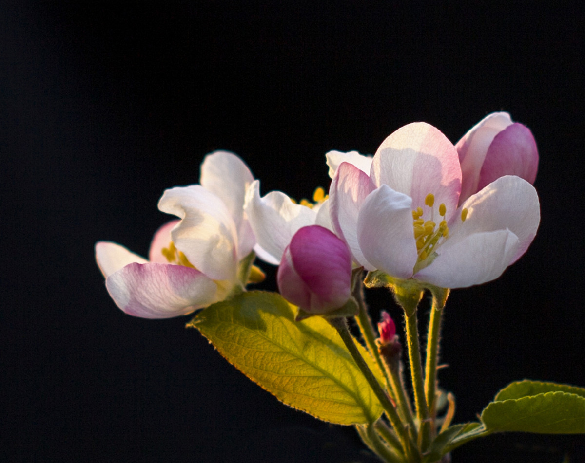 ƻ���� (7).jpg