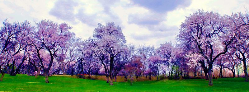 �ӻ����ӻ���֮����