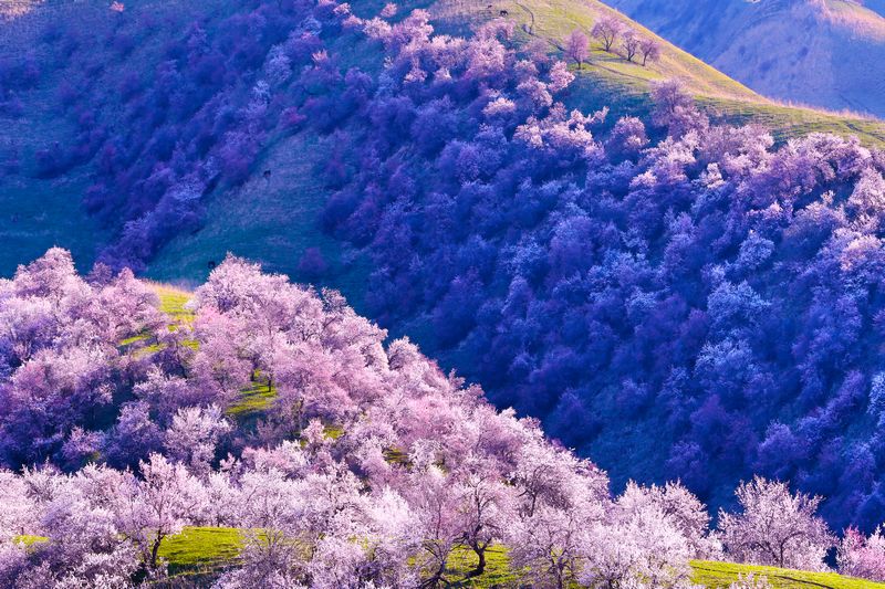 012A6736 ����.jpg