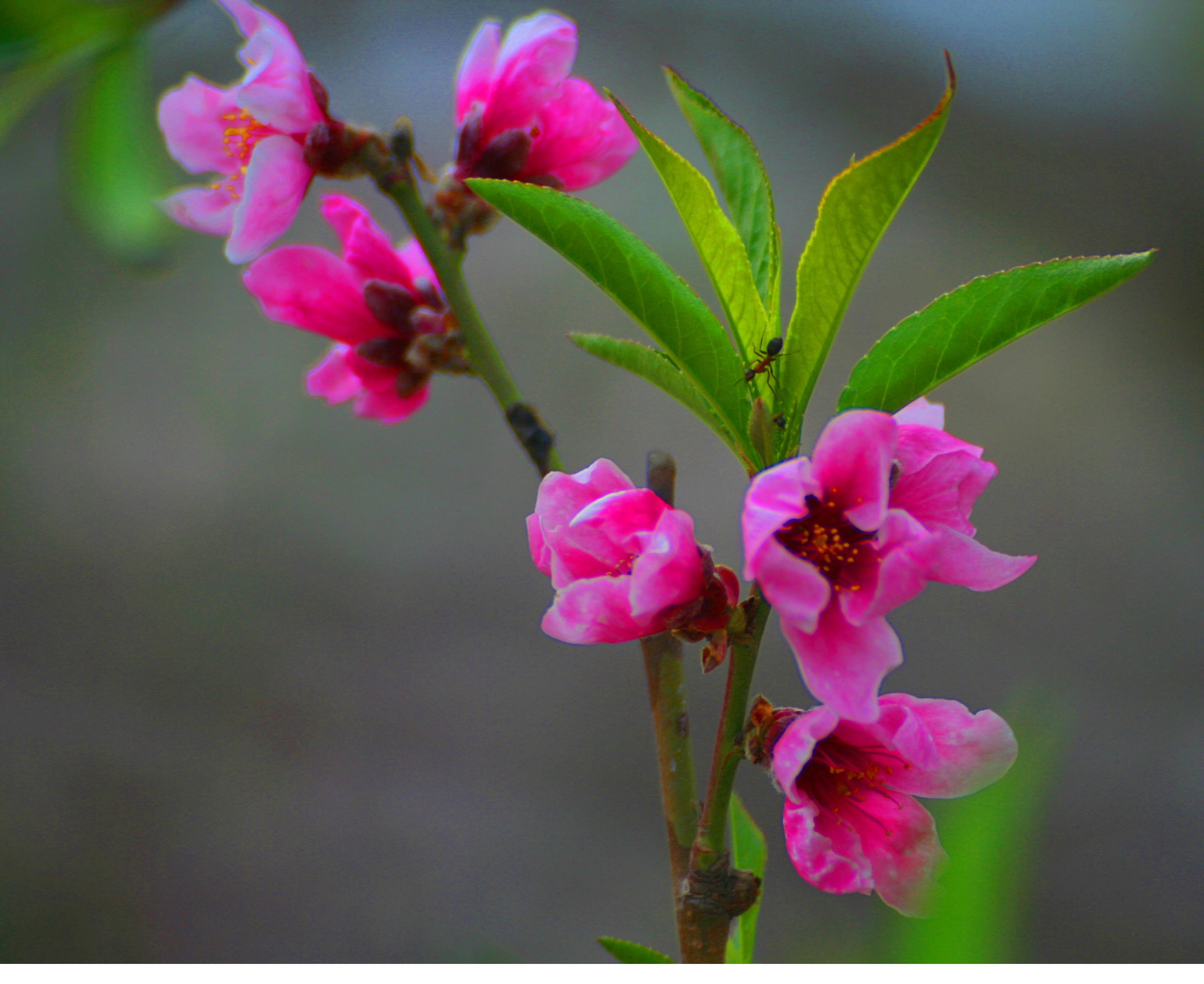 ���͹㳡 05400 ����.jpg