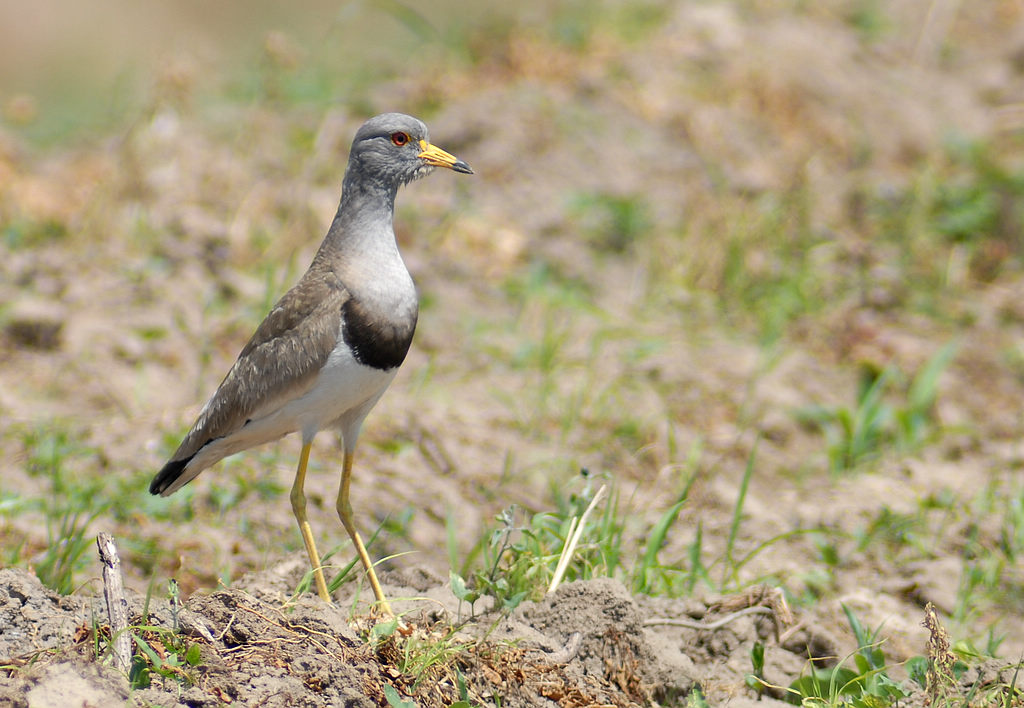 7��ͷ��_0144  1.jpg