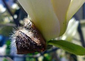 psb (1)_����_����.jpg