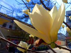 psb (3)_����.jpg