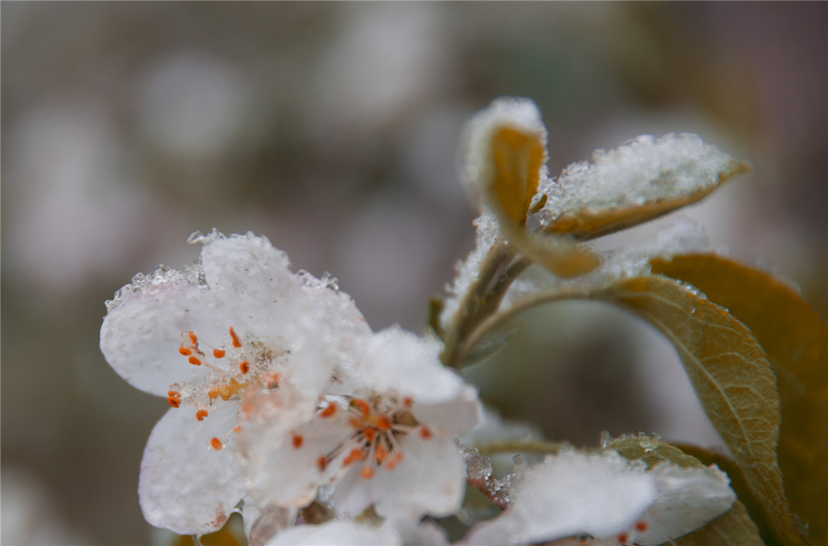 ƻ���� (2).jpg