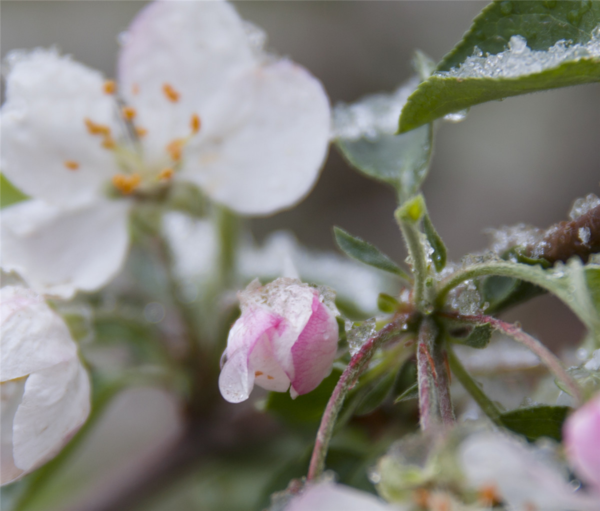 ƻ���� (3).jpg