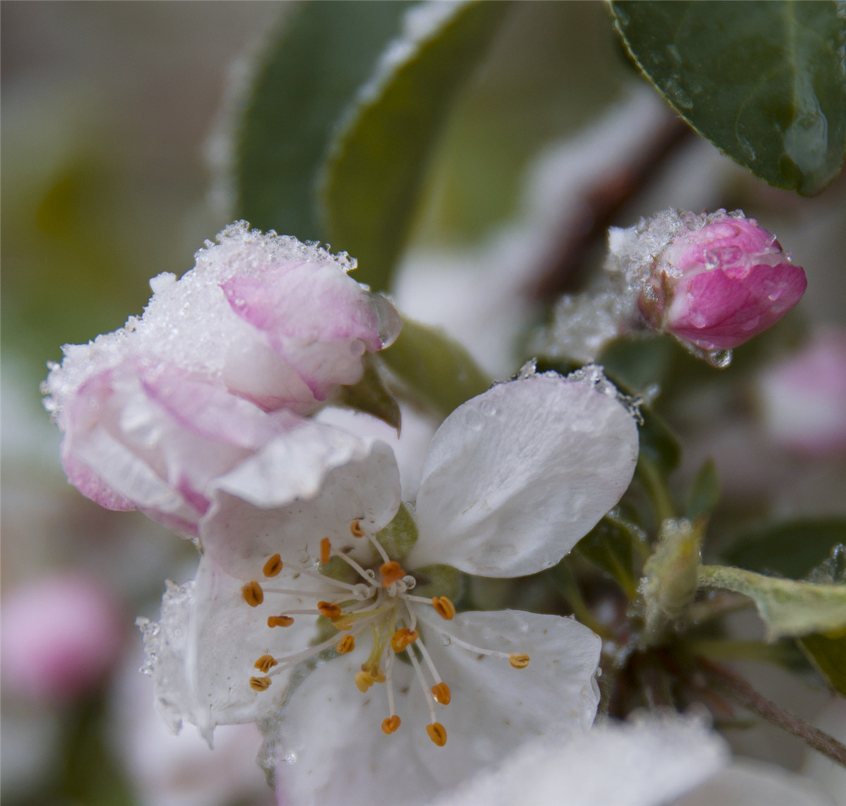 ƻ���� (5).jpg