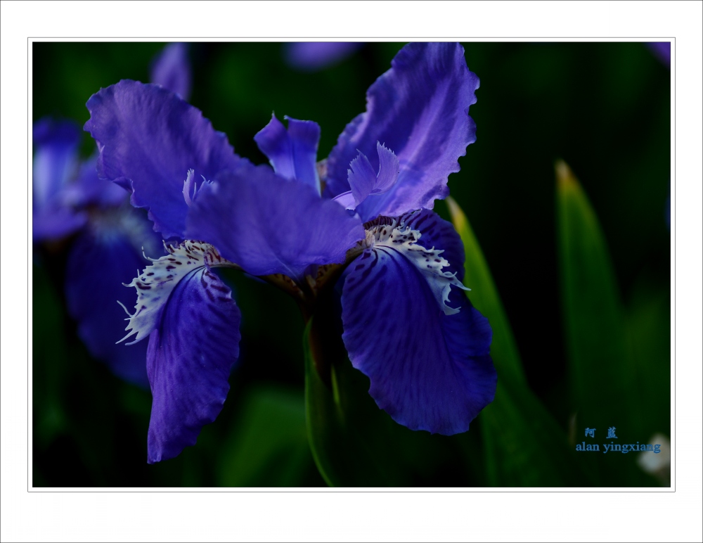 ��Ƭ 007_conew3.jpg