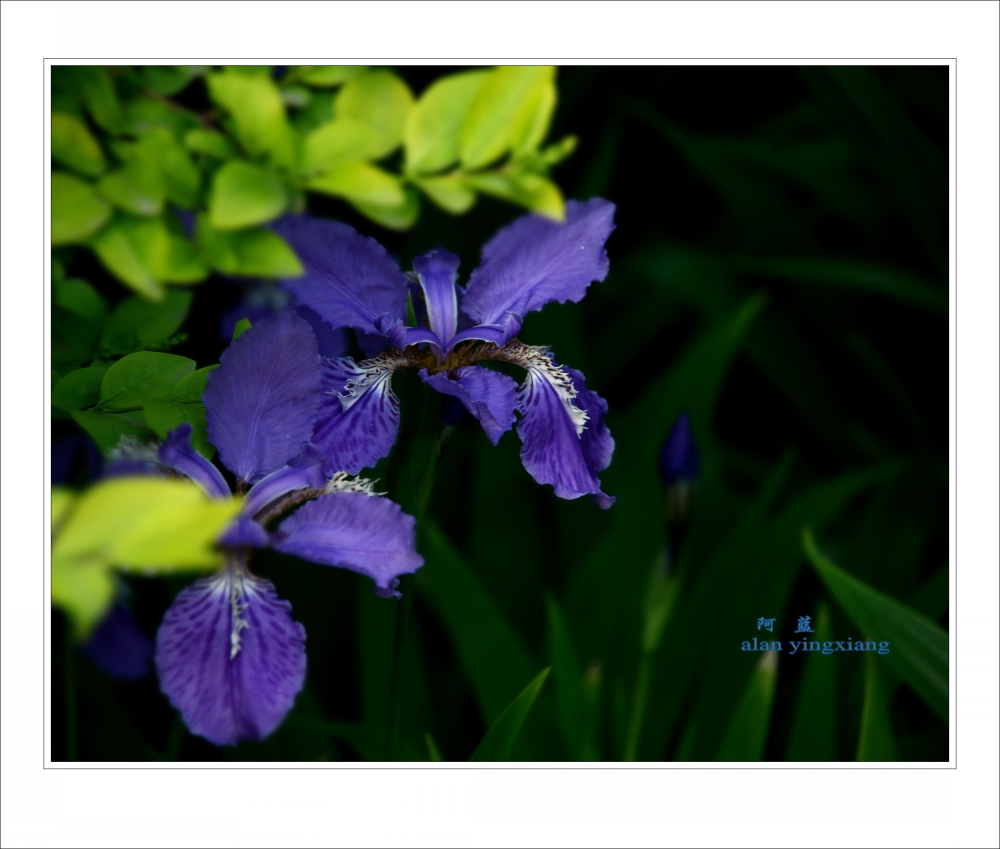 ��Ƭ 030_conew1.jpg