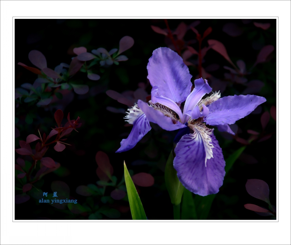 ��Ƭ 059_conew2.jpg