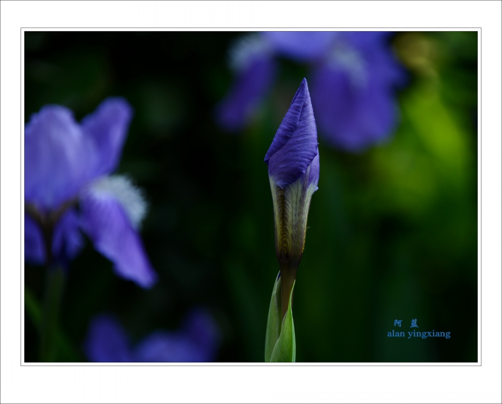 ��Ƭ 005_conew2.jpg