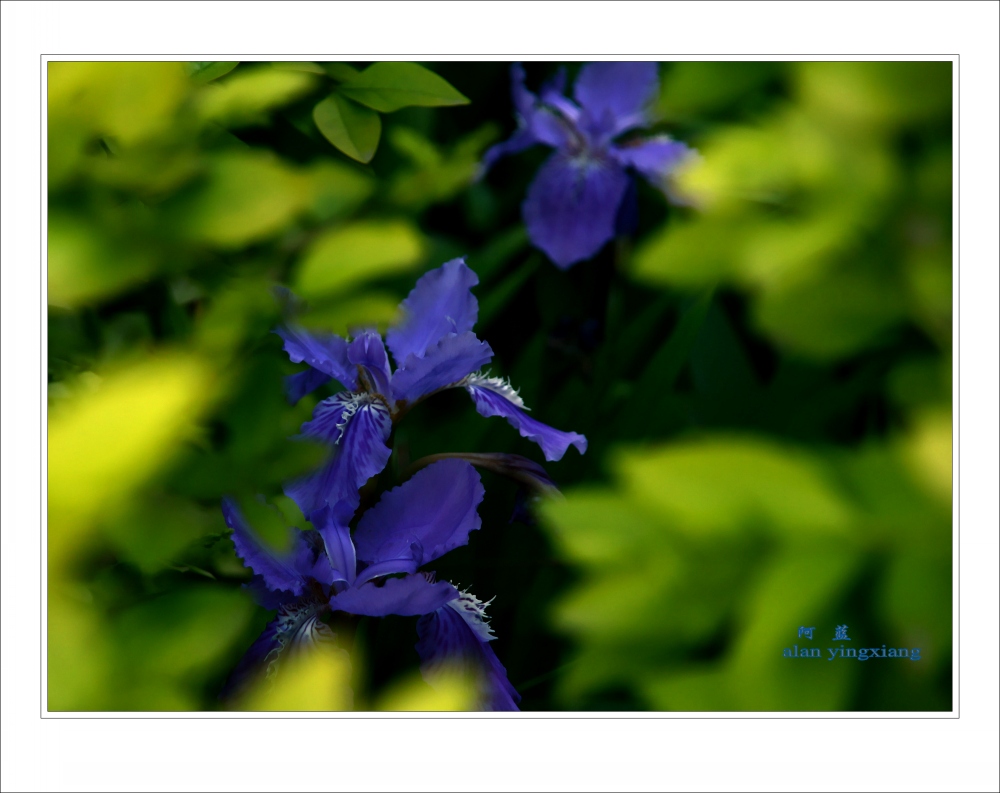 ��Ƭ 032_conew1.jpg