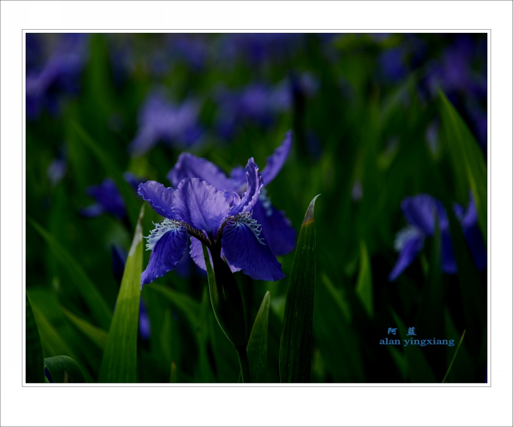 ��Ƭ 016_conew1.jpg