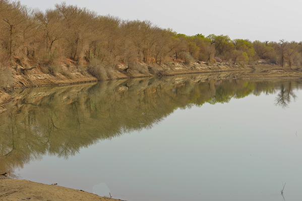 ����Ĵ���