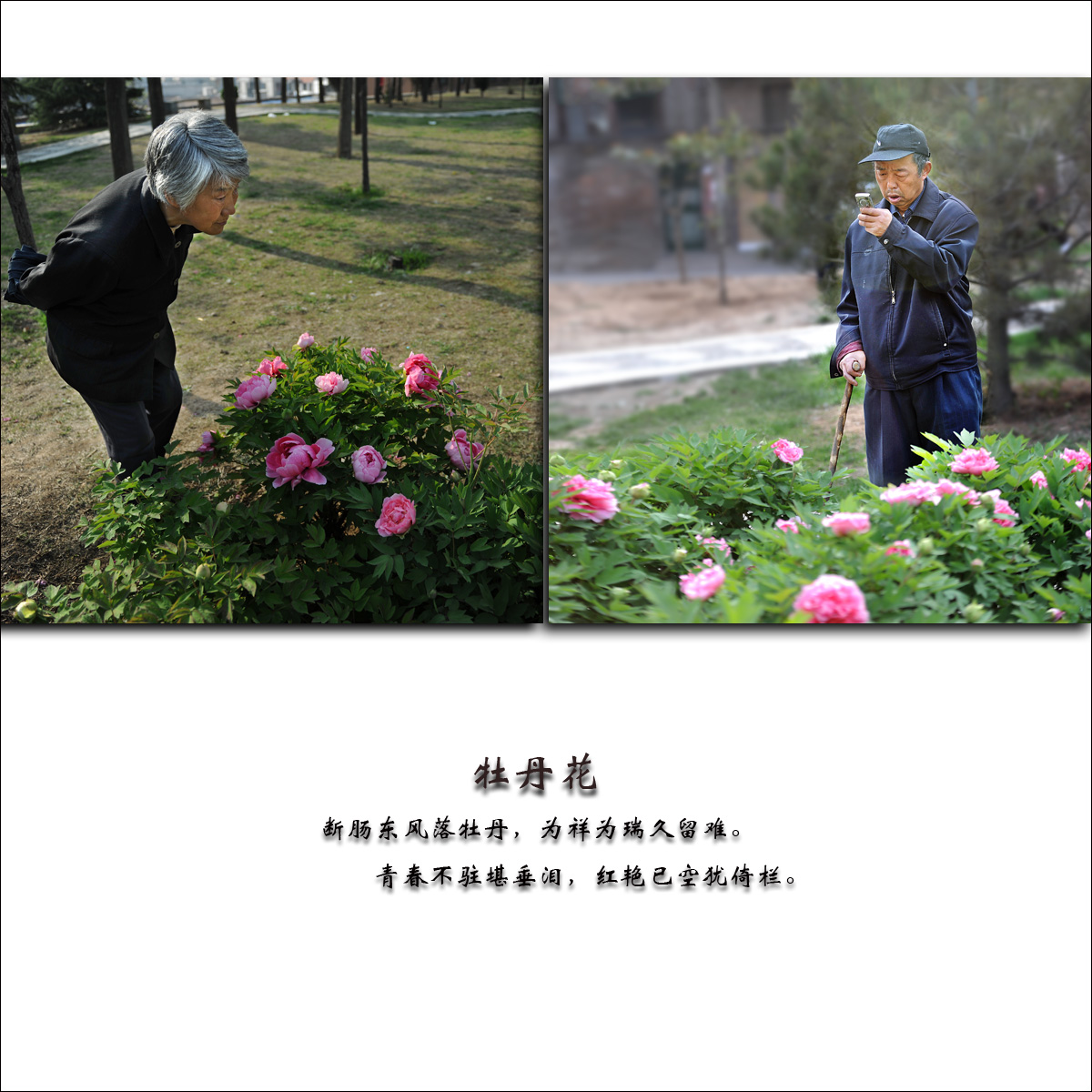 ���˹���ĵ��������ס�����ޡ���˼�Լ��������ഺʱ�������û��䣡