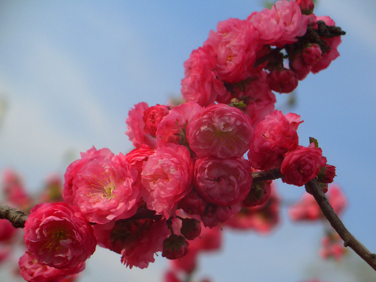 CIMG4317 ����.jpg