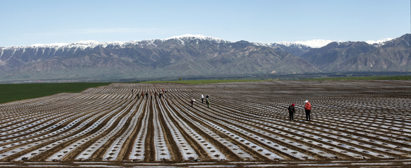 _MG_0334 Panorama...jpg