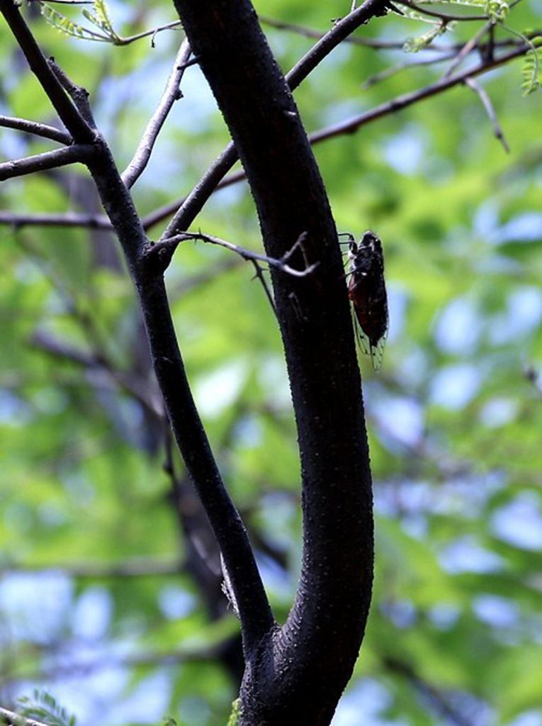 �����ǳ�����