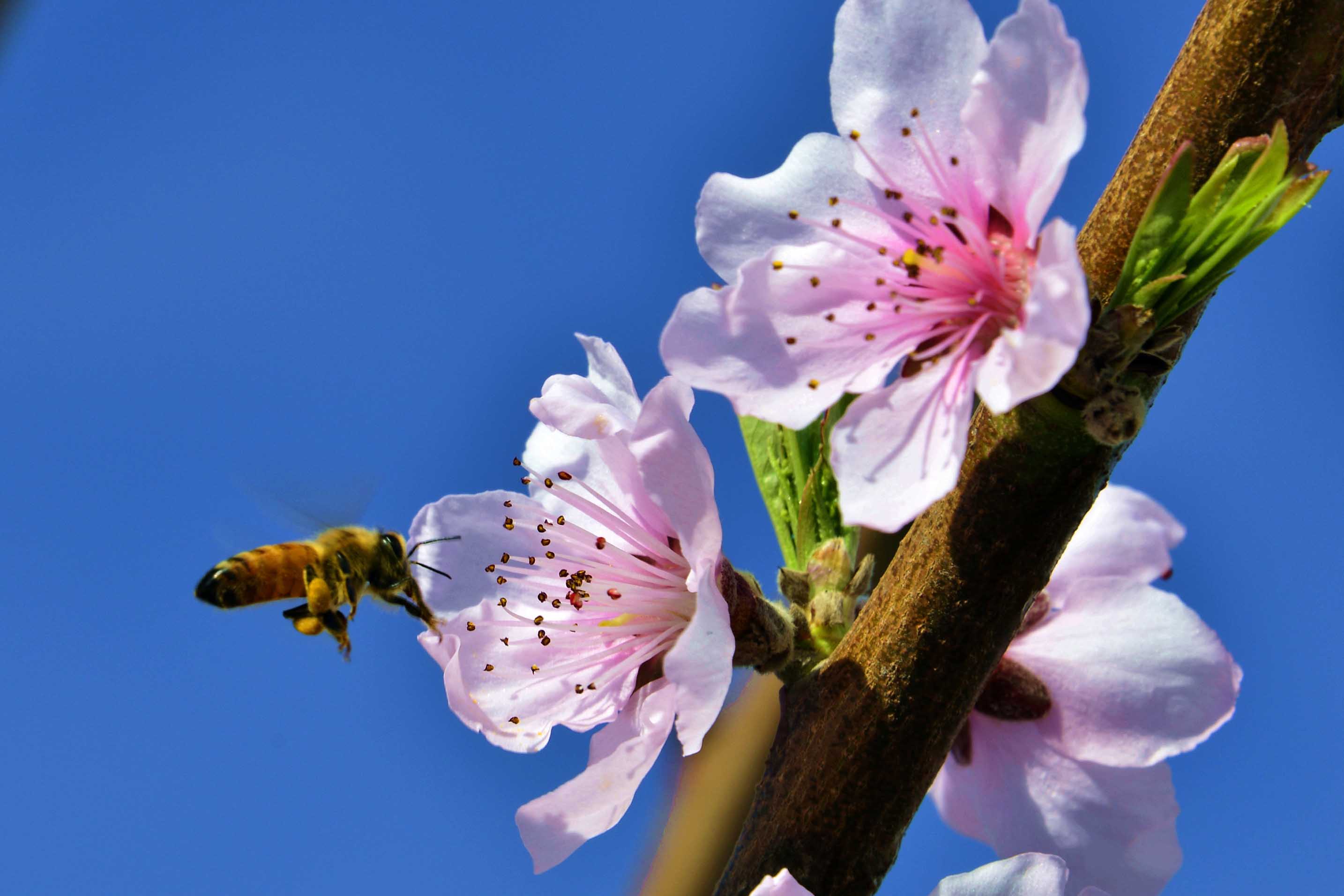 �仨�� (8).jpg