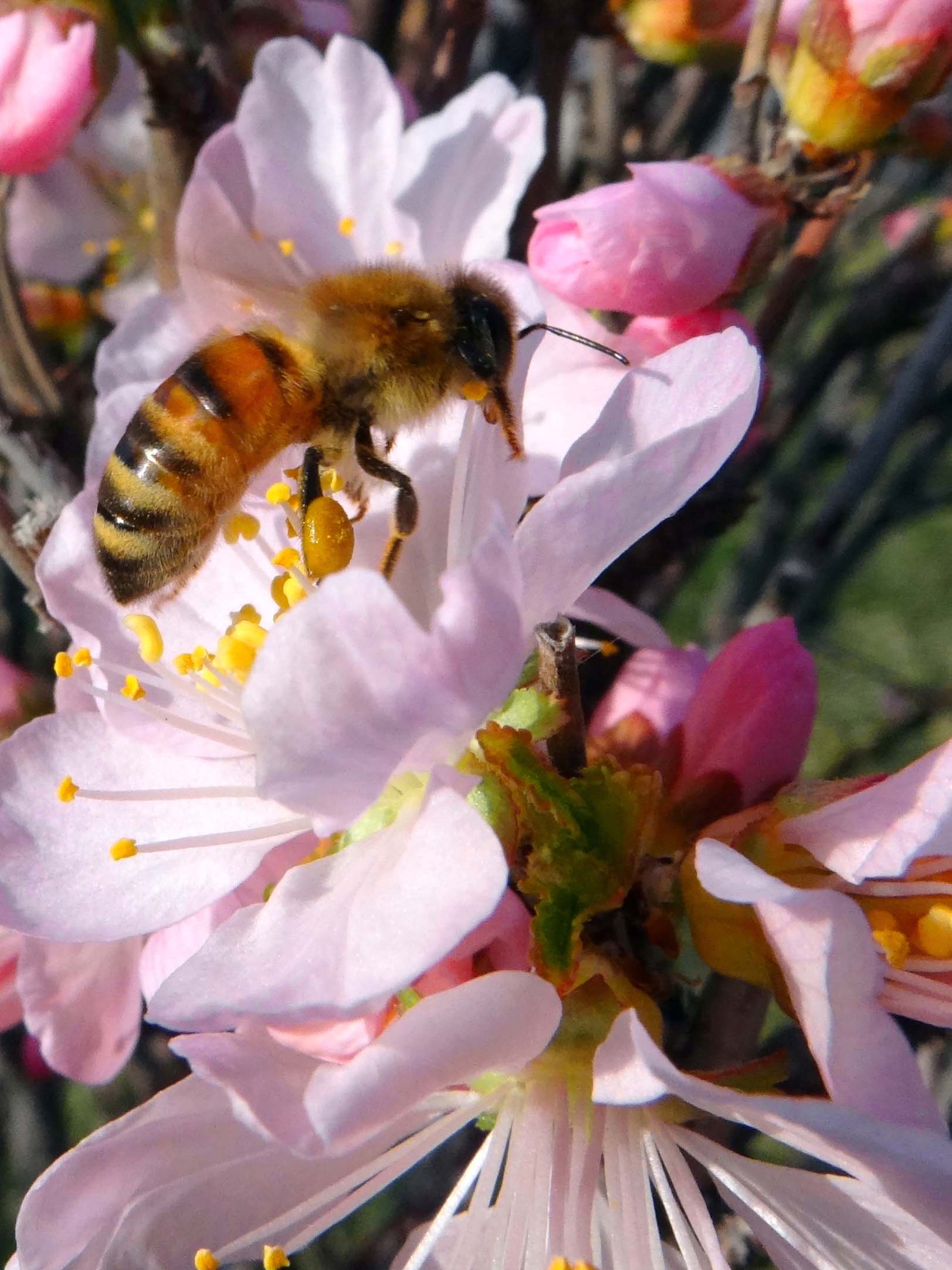 �仨�� (10).jpg