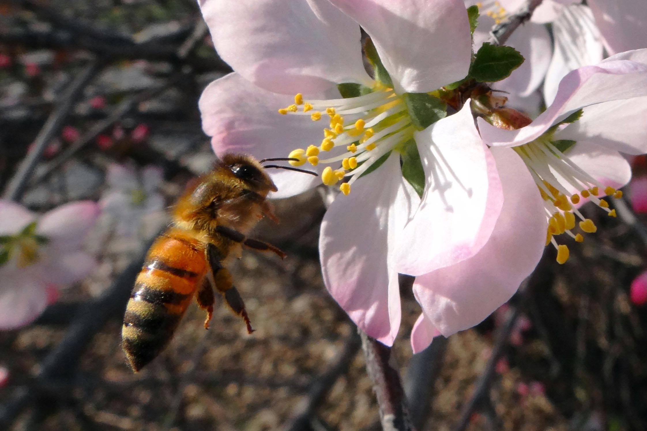 �仨�� (11).jpg