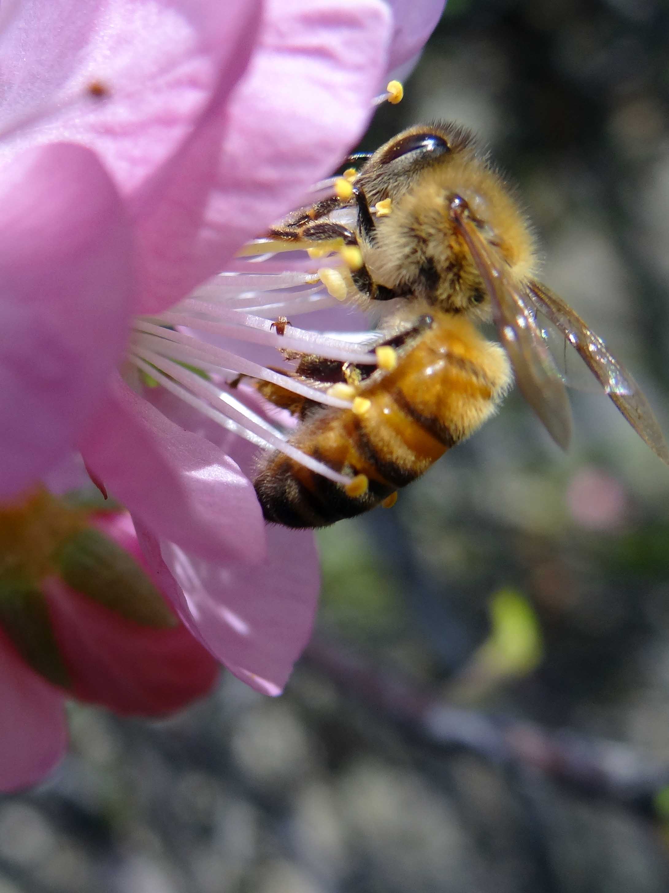 �仨�� (12).jpg