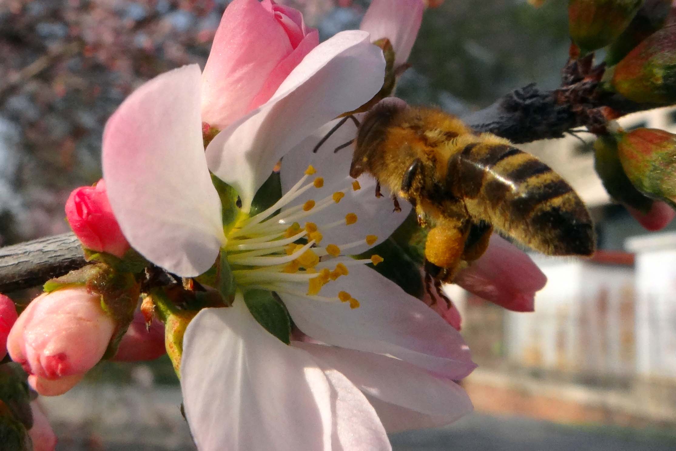 �仨�� (13).jpg