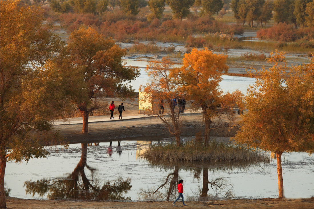 ���� (2).jpg