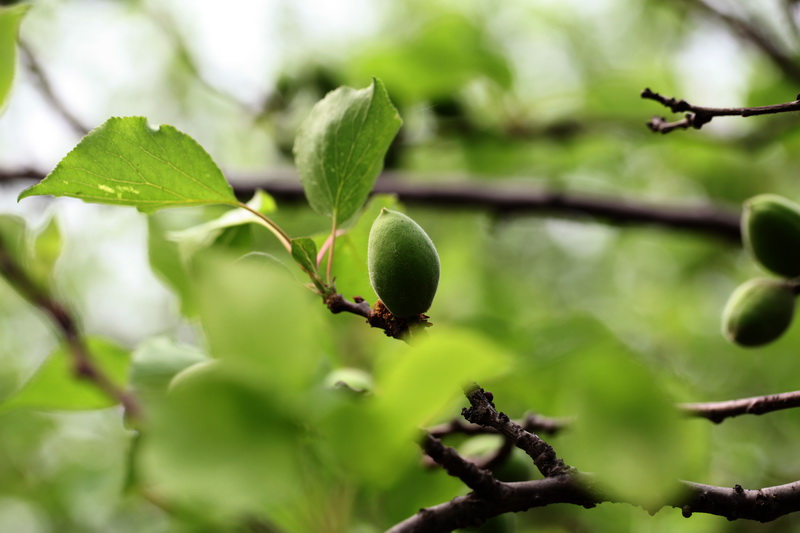 ���ӳ���01