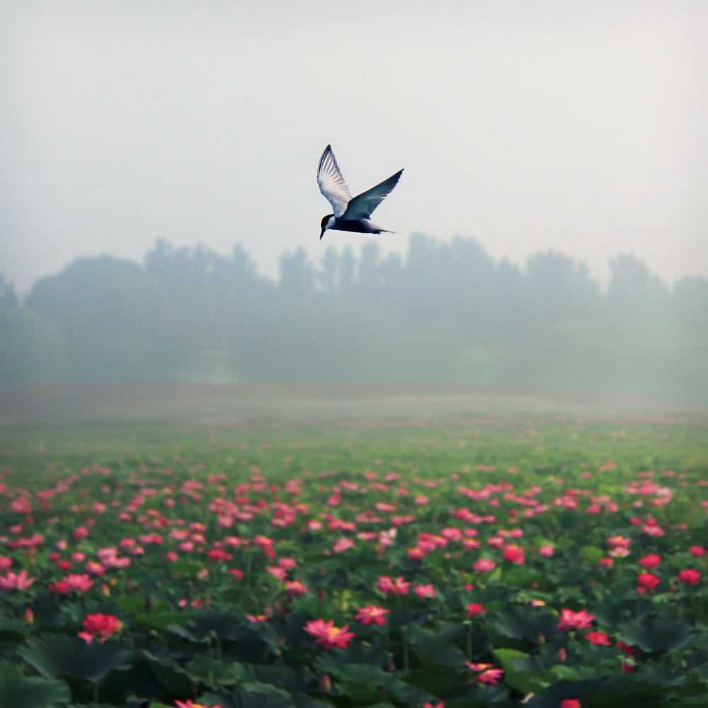 ����һ��