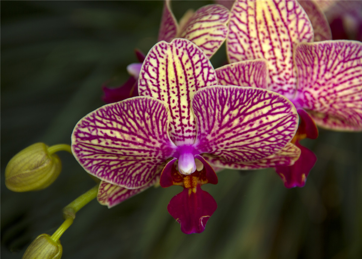 ������ (1).jpg