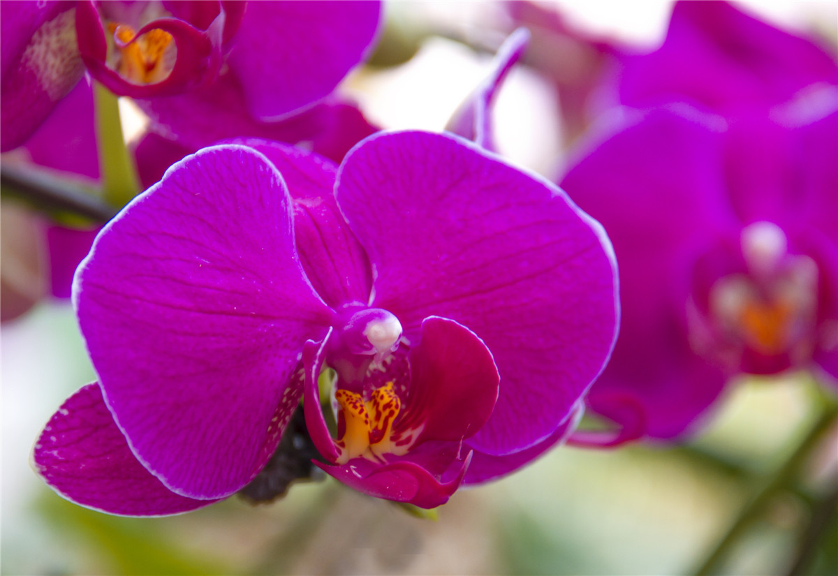 ������ (3).jpg