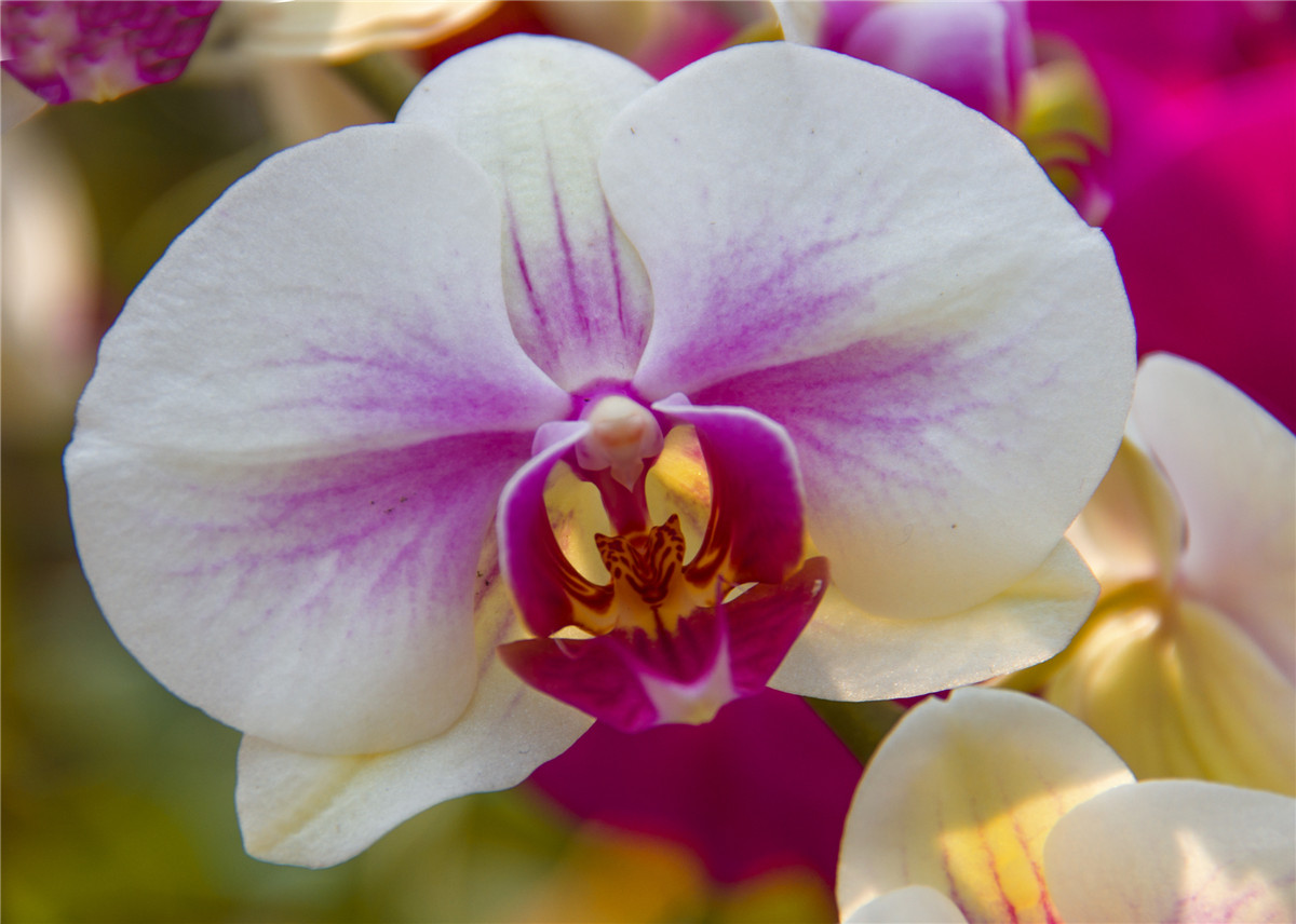 ������ (6).jpg