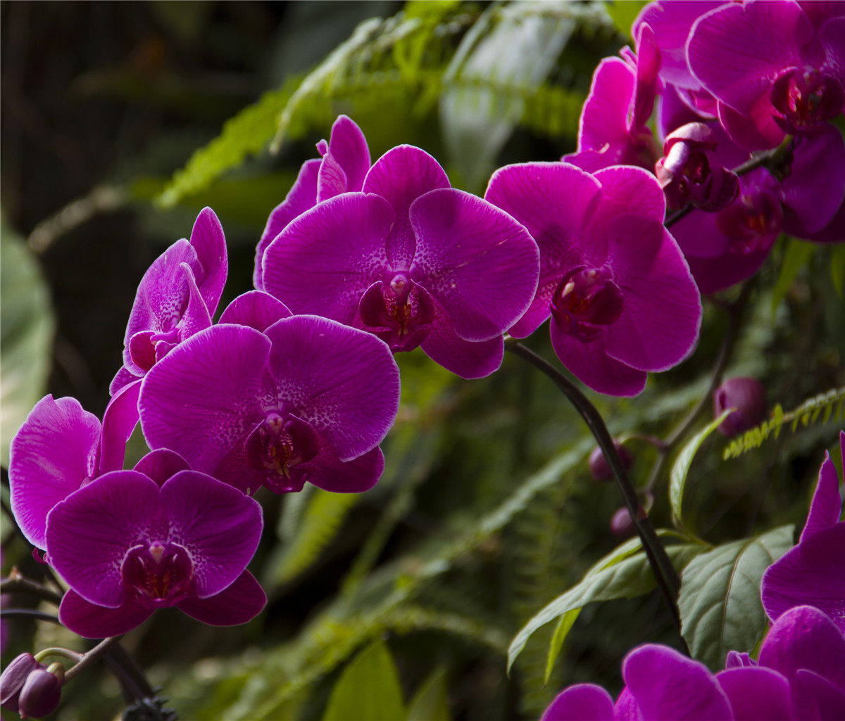 ������ (11).jpg