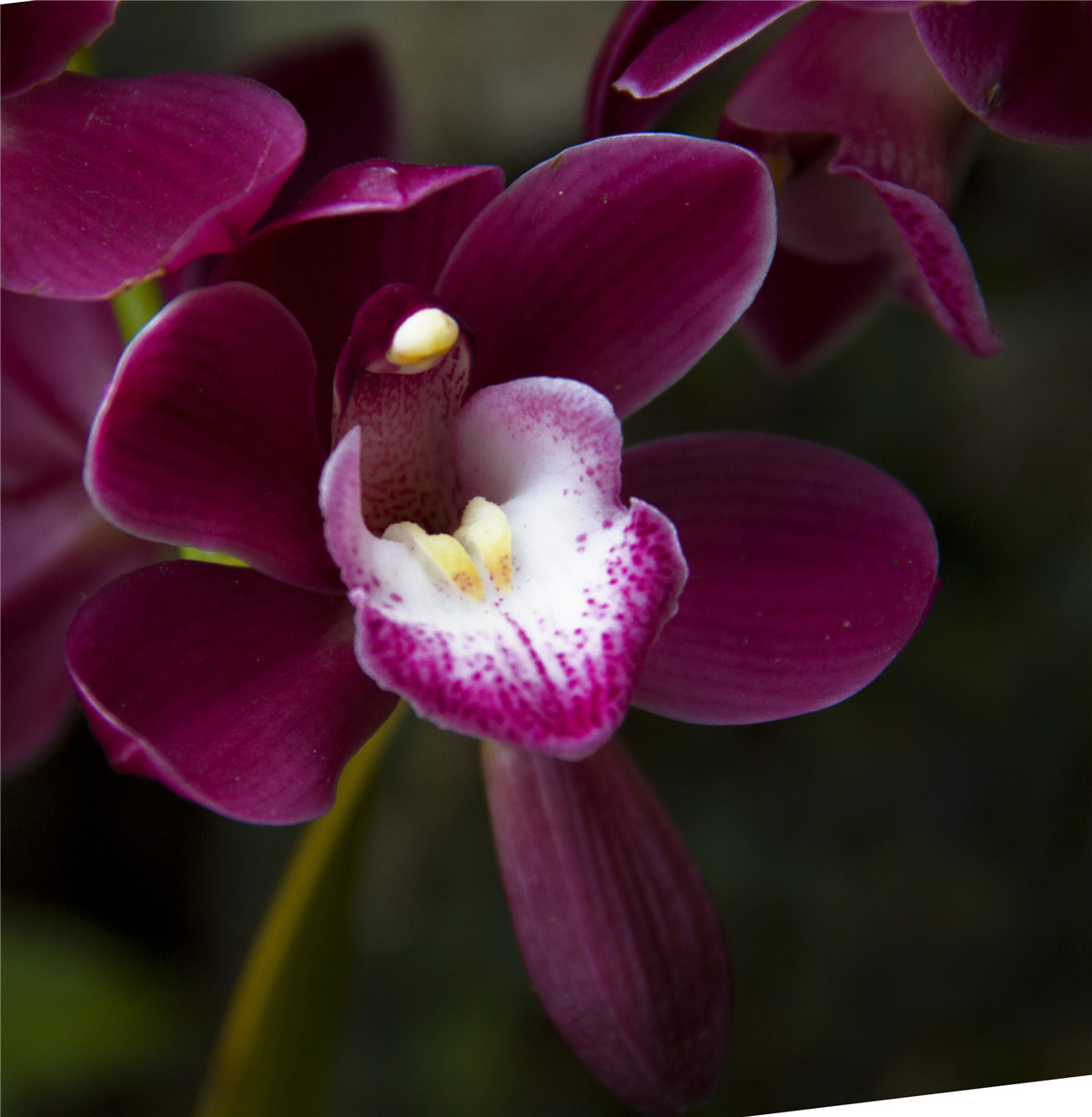 ������ (7).jpg