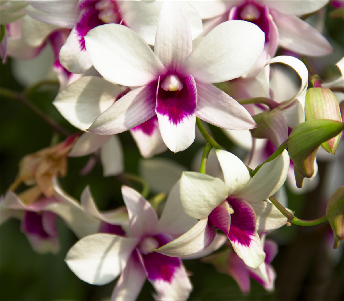 ������ (2).jpg