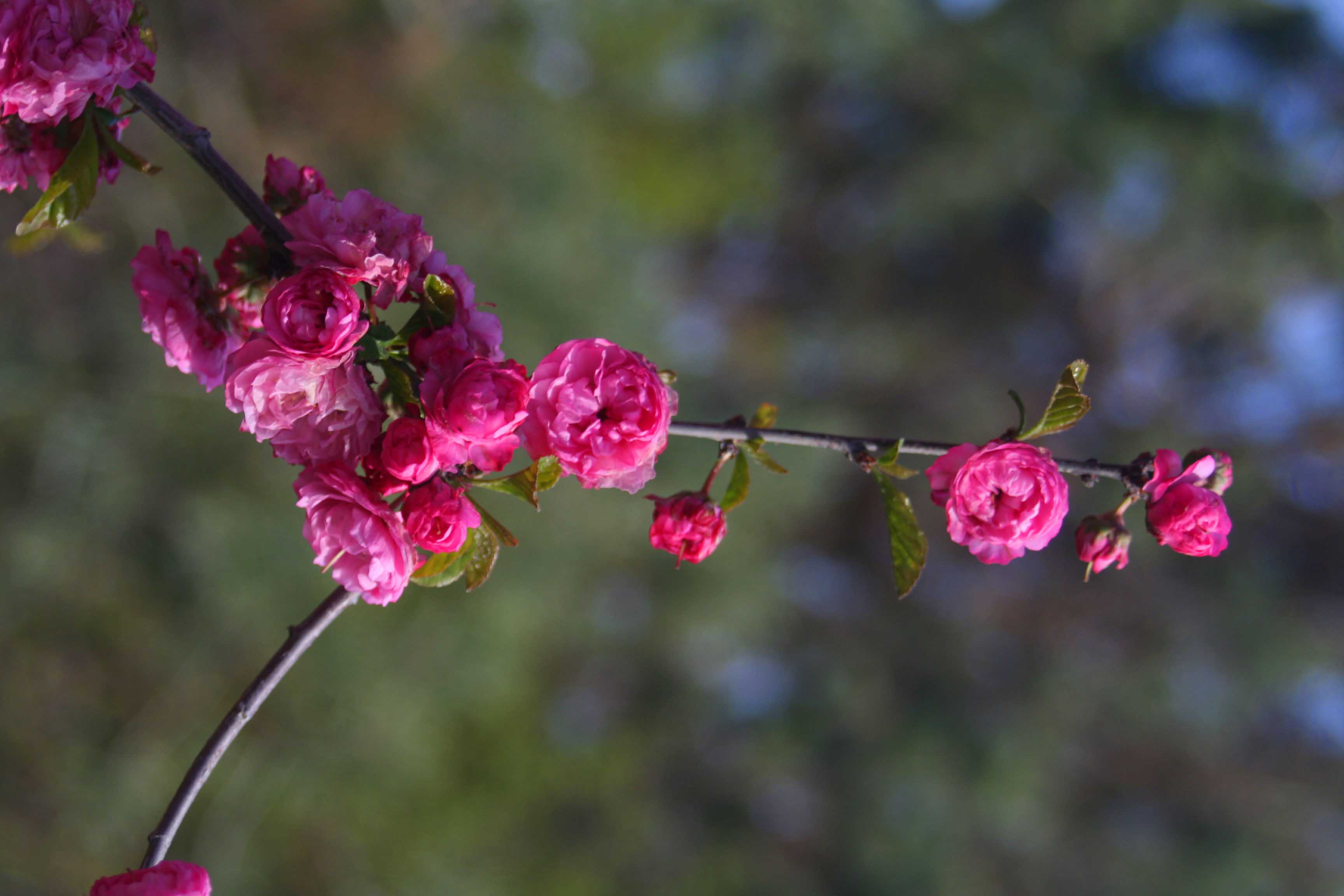 ���͹㳡 015 ����.jpg