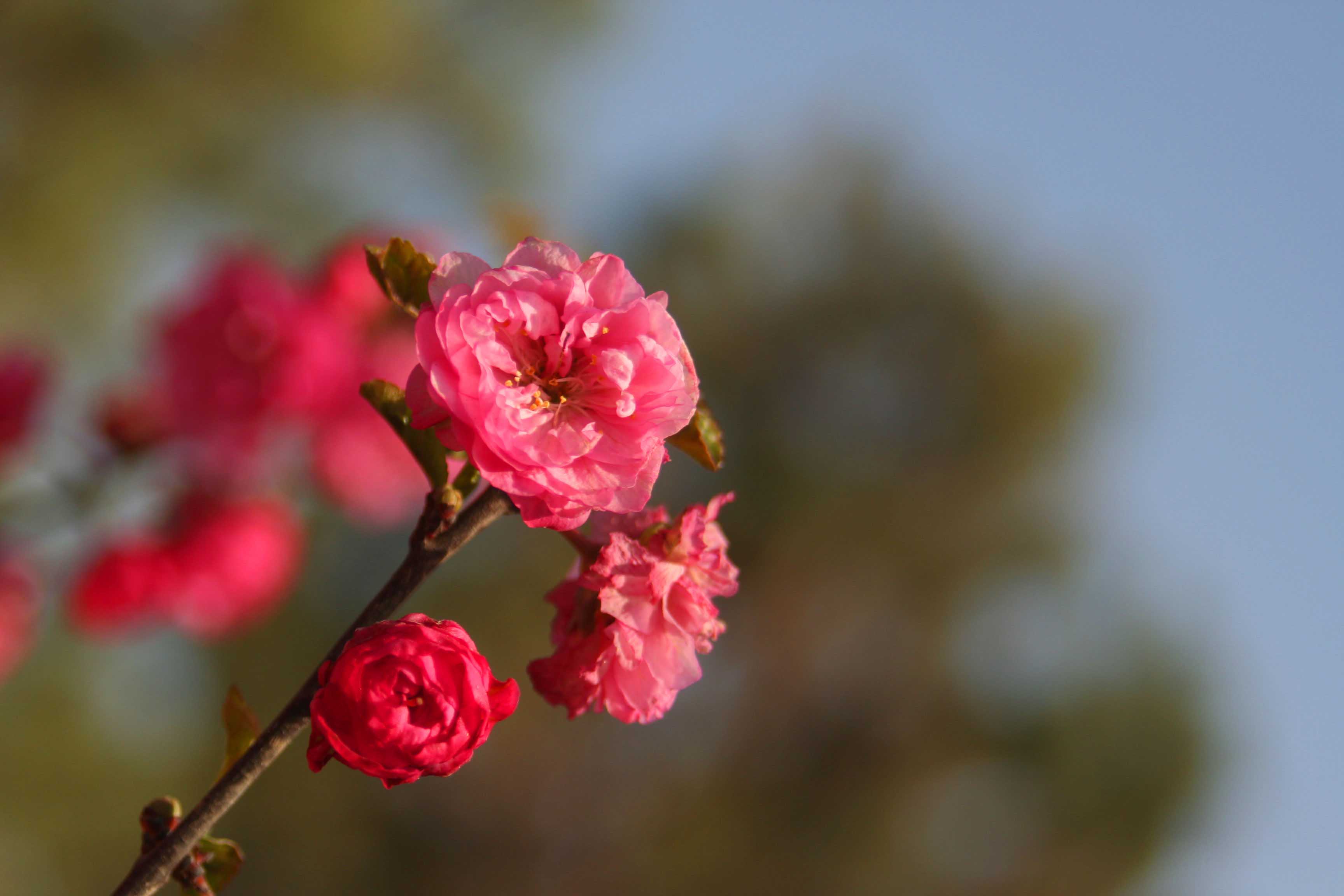 ���͹㳡 016 ����.jpg