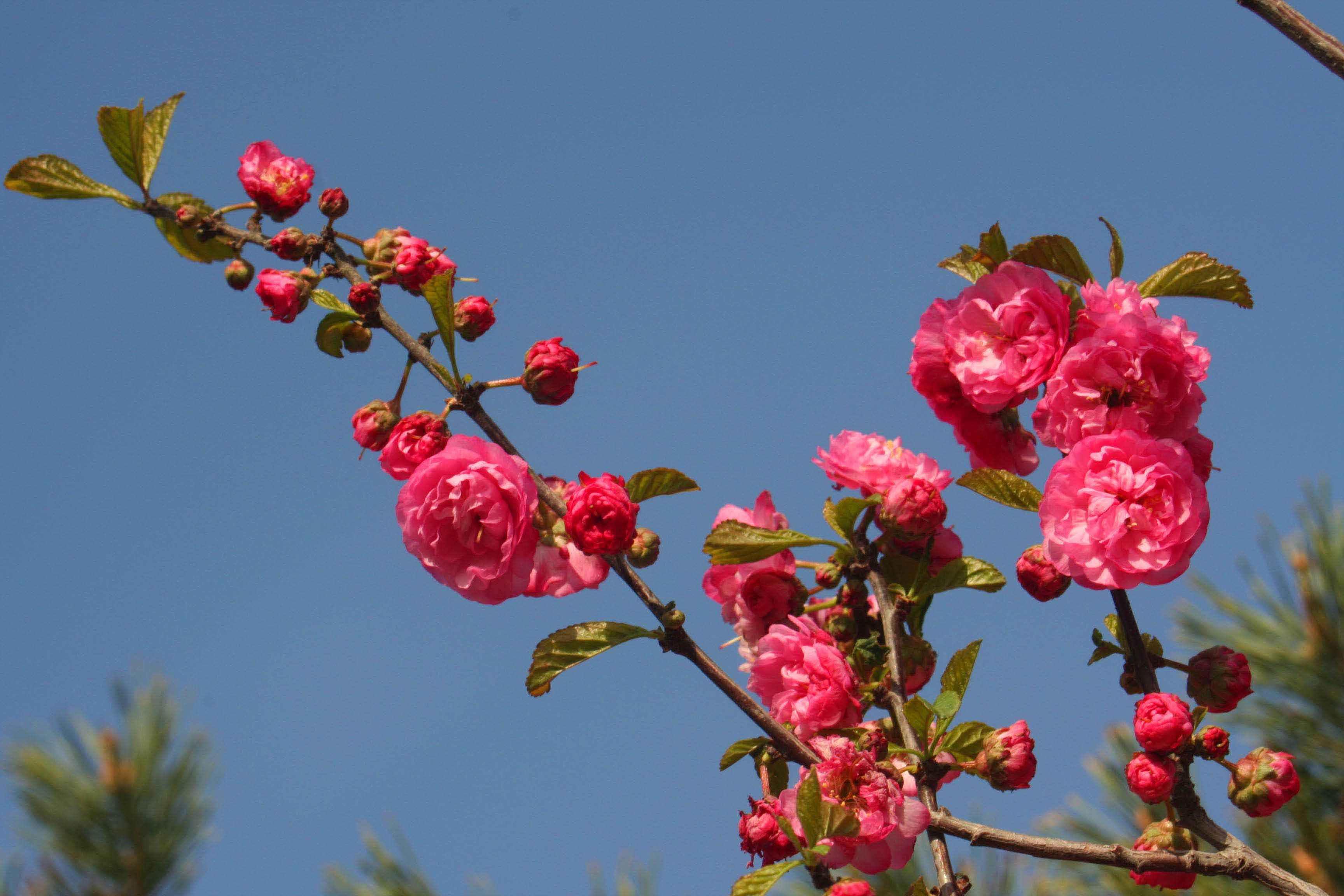 ���͹㳡 021 ����.jpg