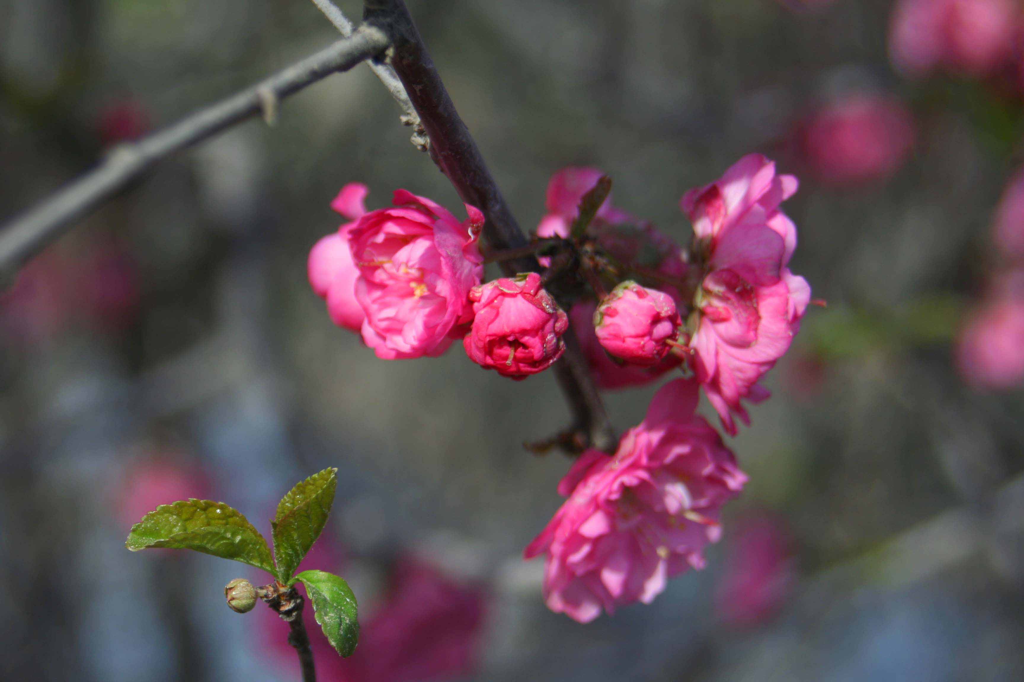 ���͹㳡 031 ����.jpg