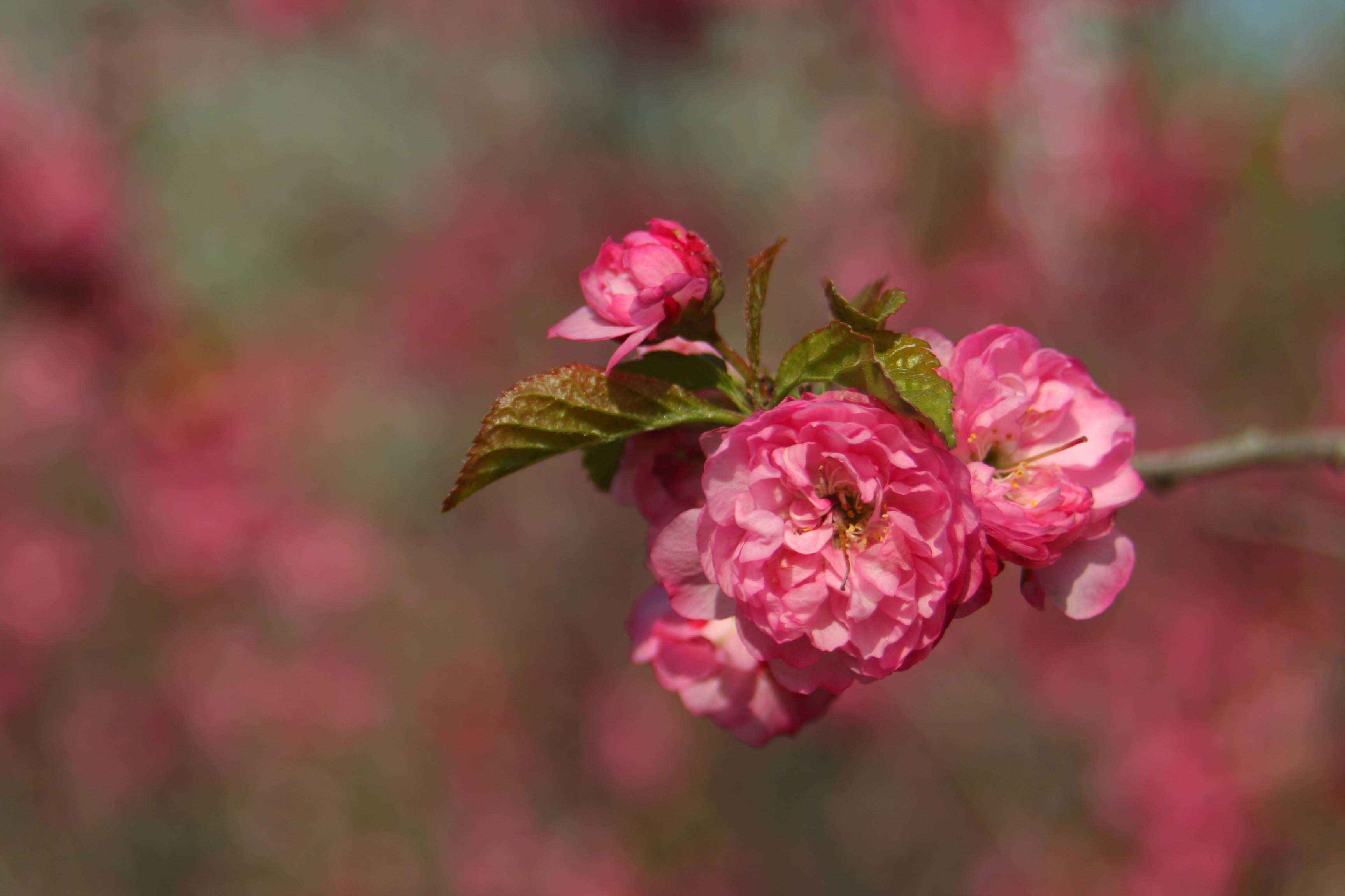 ���͹㳡 033 ����.jpg