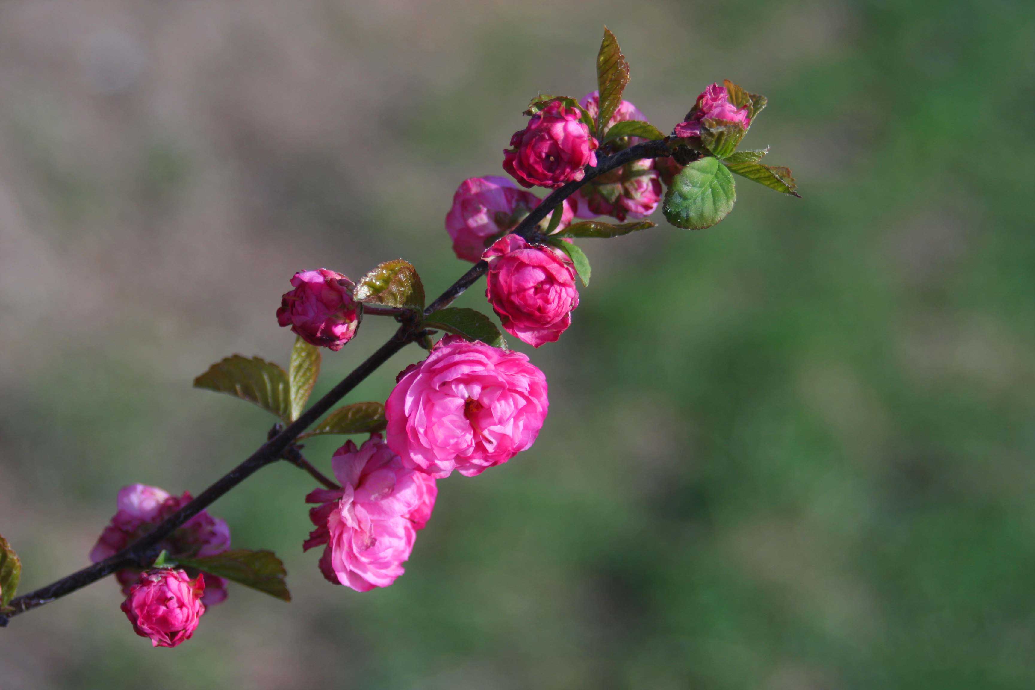 ���͹㳡 036 ����.jpg