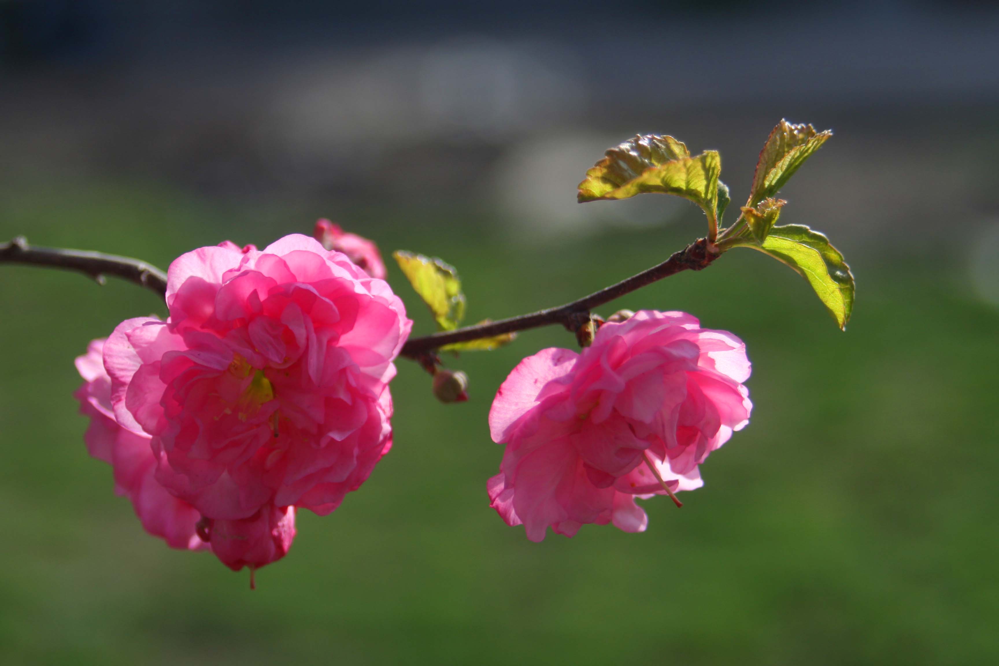 ���͹㳡 039 ����.jpg