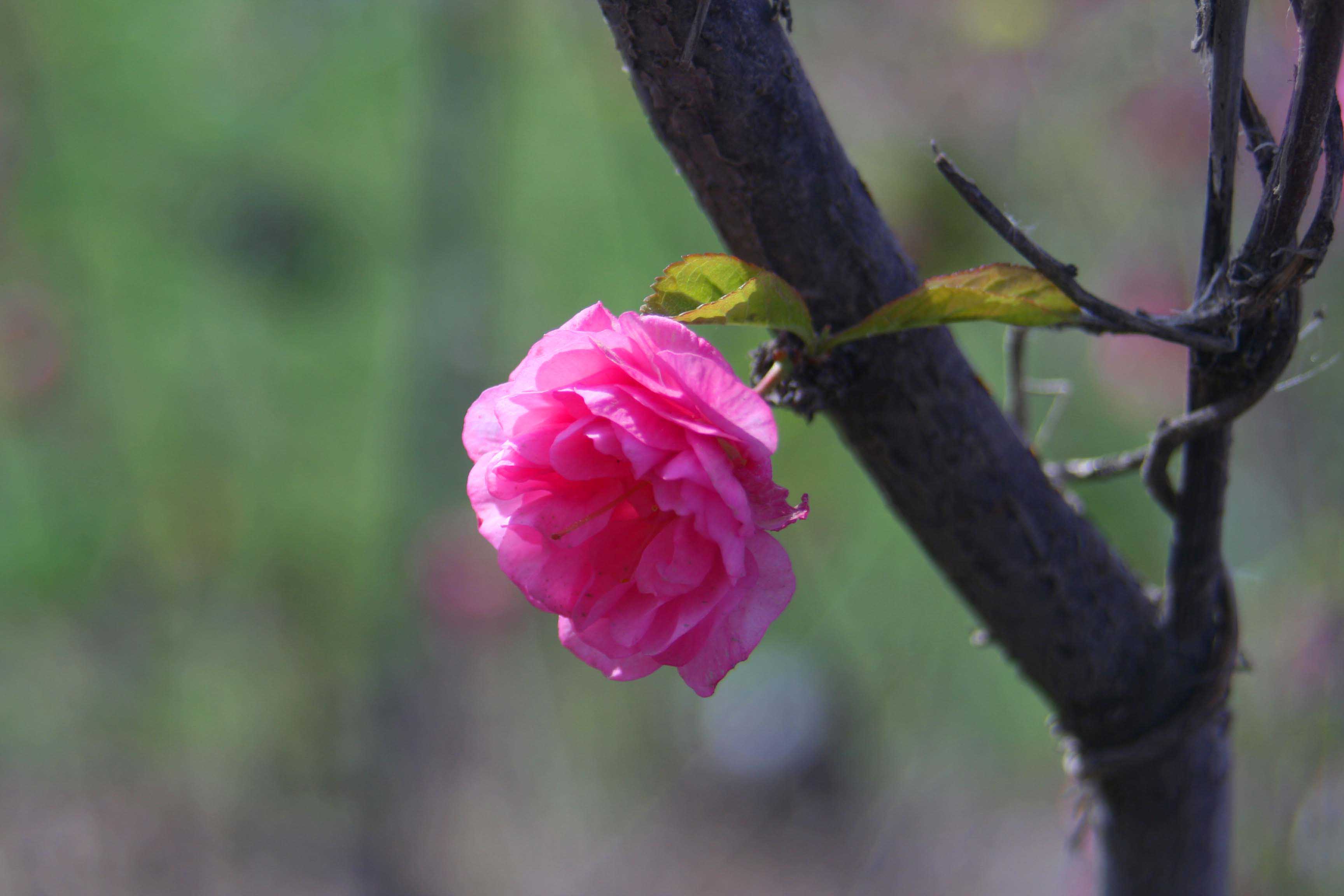 ���͹㳡 043 ����.jpg