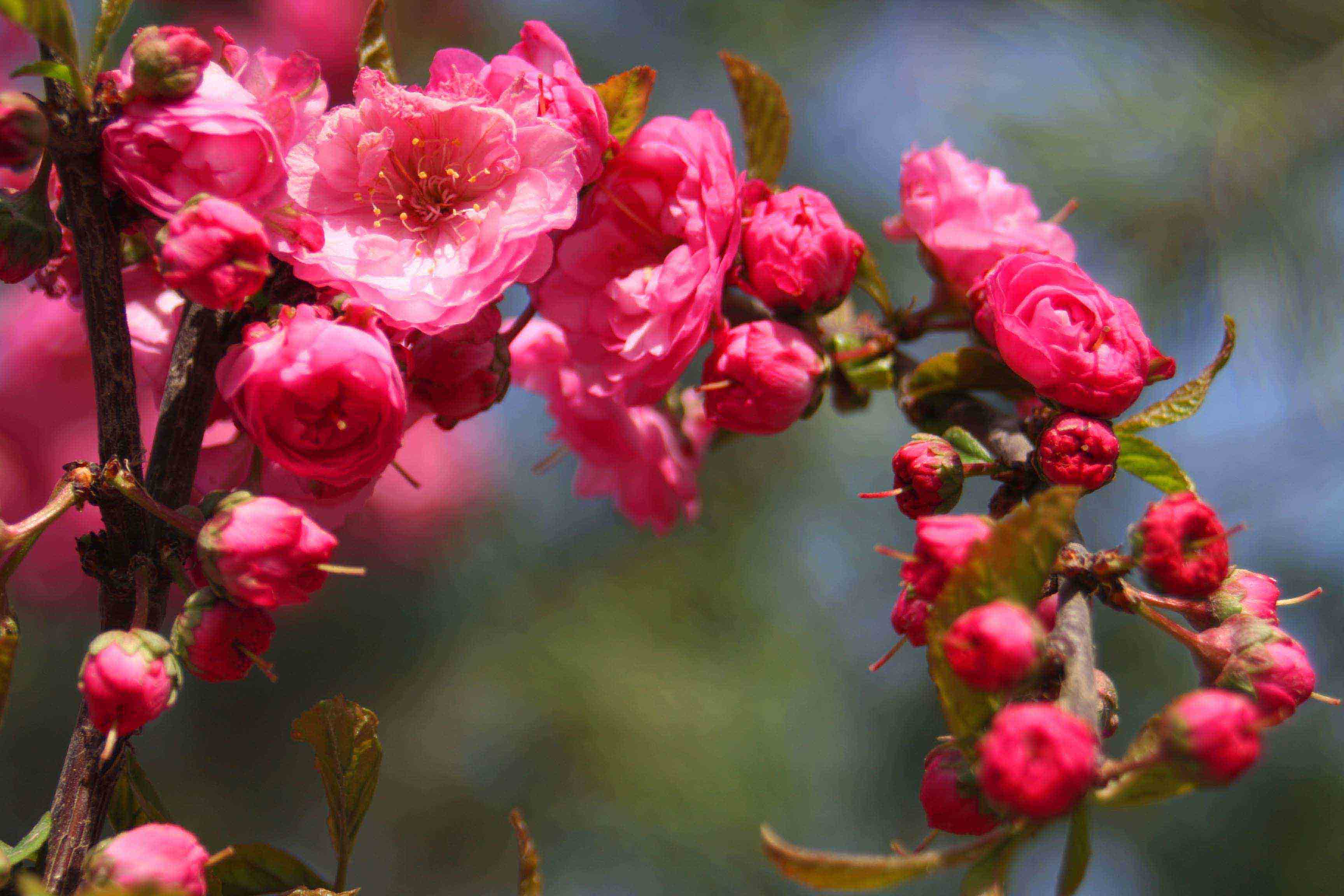 ���͹㳡 049 ����.jpg