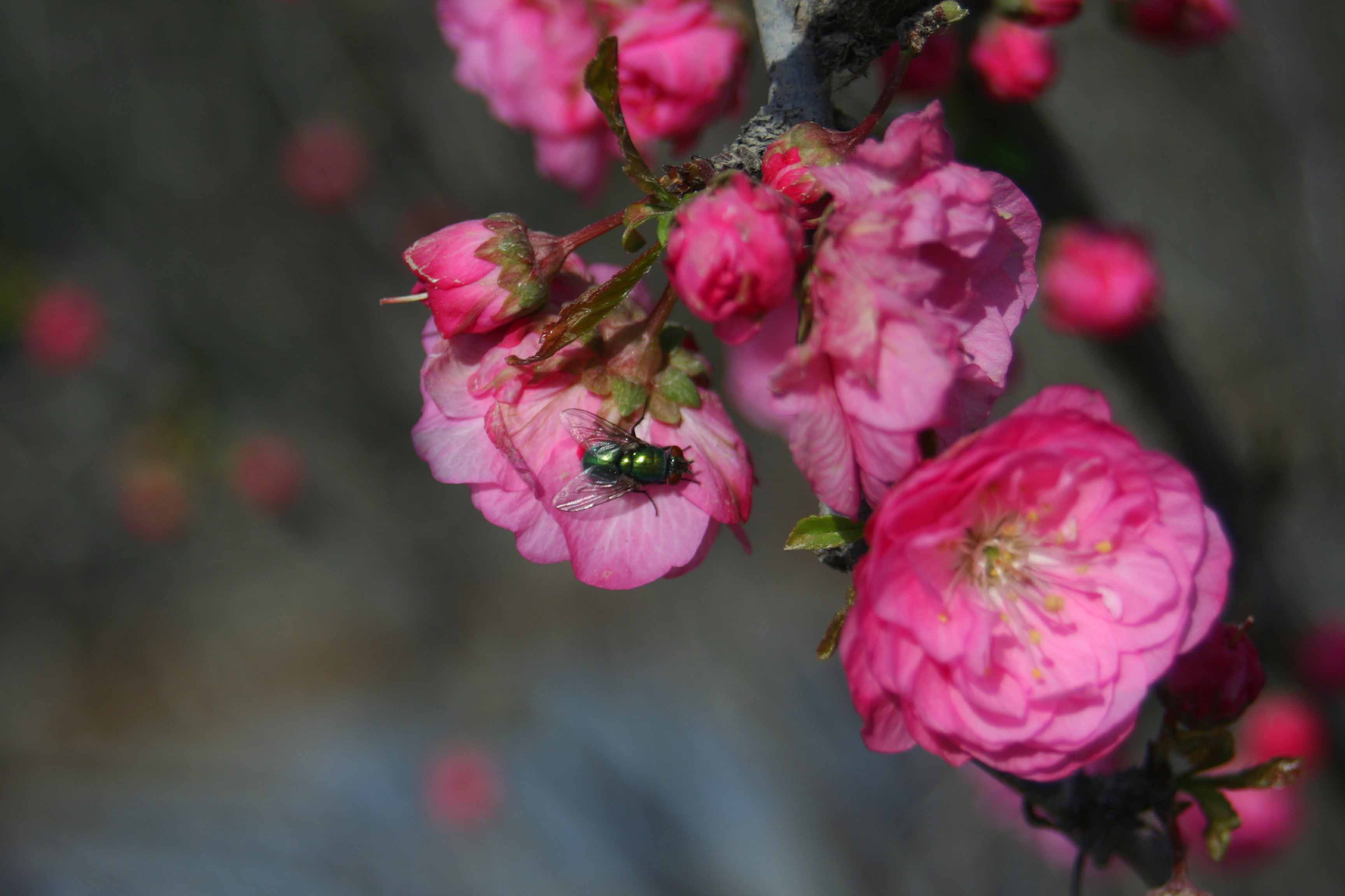 ���͹㳡 054 ����.jpg