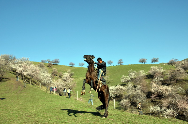 ����   ������